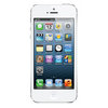 Apple iPhone 5 32Gb white - Йошкар-Ола